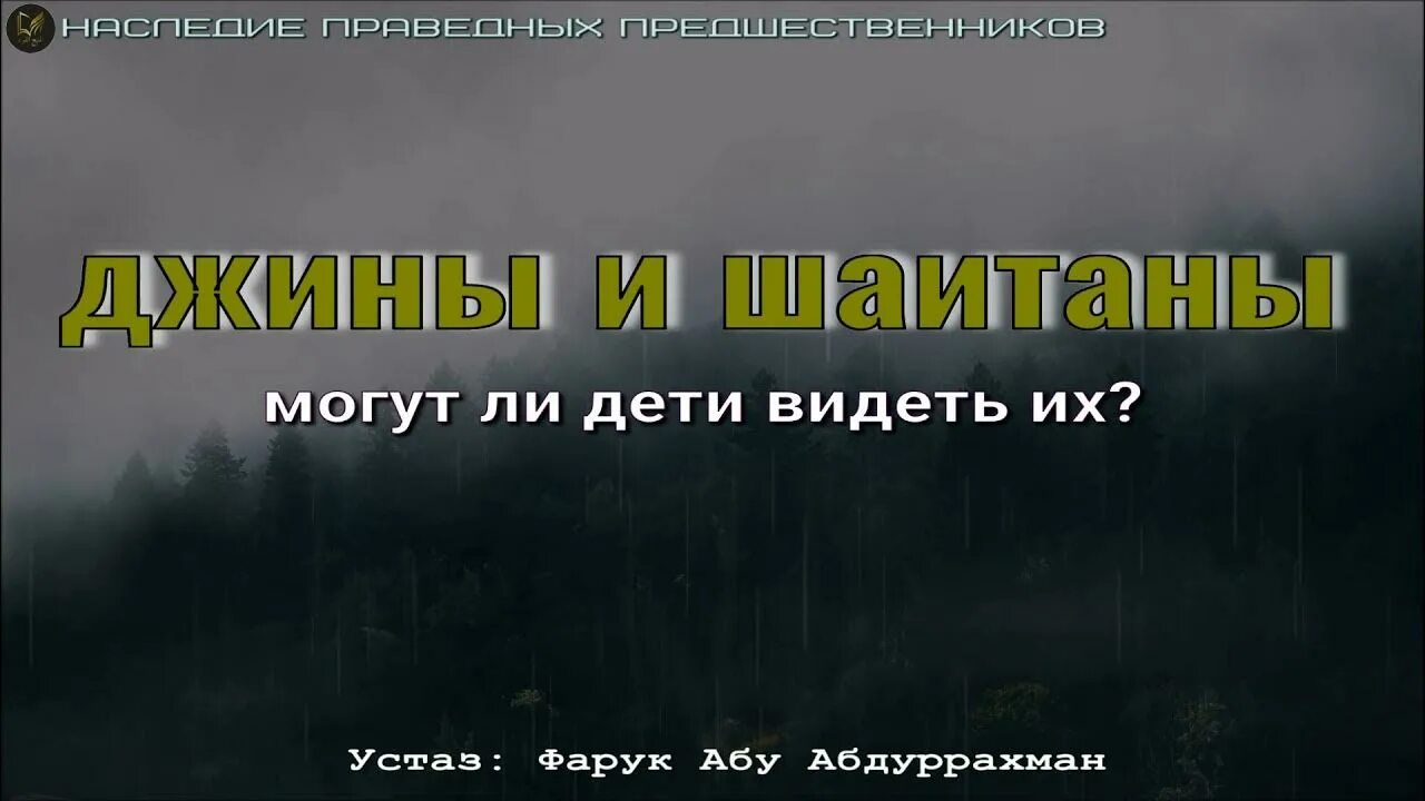 Дети шайтанов. Защита от джинов и шайтанов. Могут ли дети видеть шайтана. Сура от защиты джинов и шайтанов. Защита перед сном от шайтана и джинов.