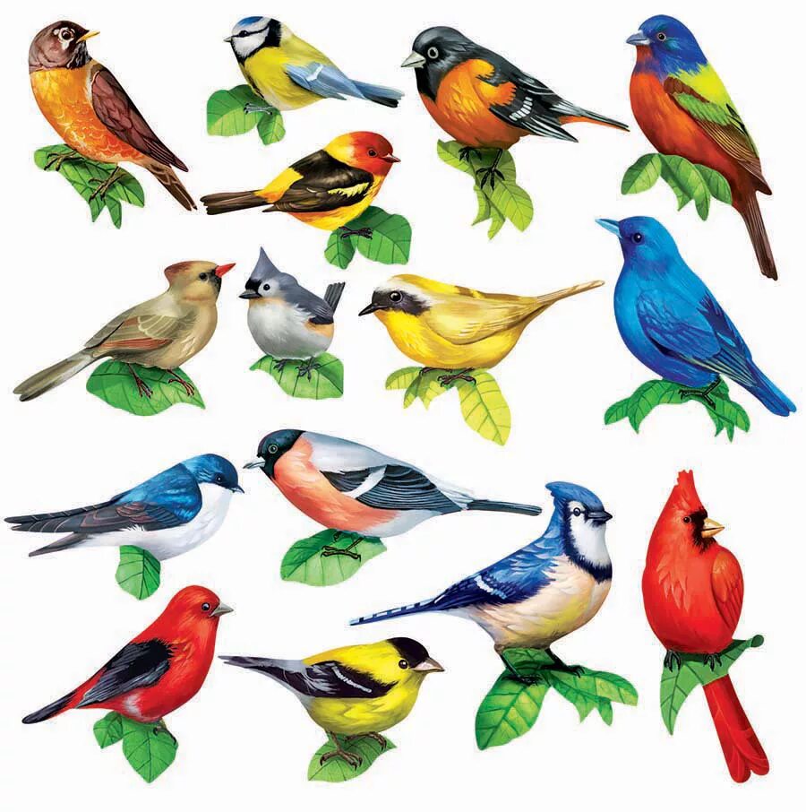 Птички для печати цветные. Птицы для детей. Разноцветные птицы для детей. Цветные птички много для печати. Птицы картинки для вырезания цветные детей распечатать