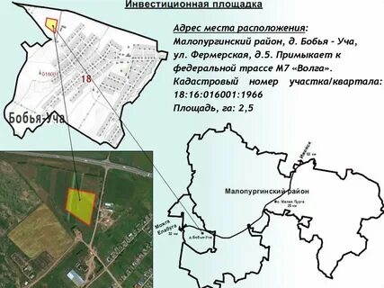 Бобий учи