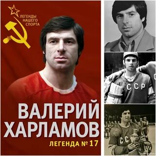 Твой номер 17