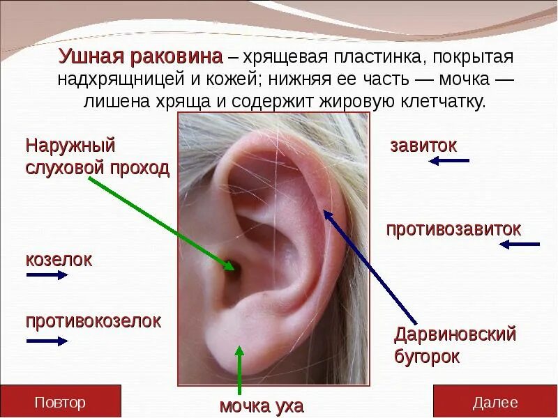 Kate Moss ear piercings - FMag.com