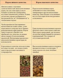Чем кормить 2 месячных