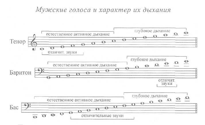 Голос 4 октавы. Переходные Ноты баритона. Диапазоны вокальных голосов. Диапазон тенора в нотах. Баритон тенор диапазоны.