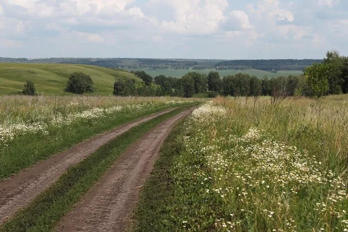 Шенталинский район. Шентала Шенталинский район. Шенталинский район Самарской области. Природа Шенталинского района Самарской области. Село Шентала Шенталинского района.