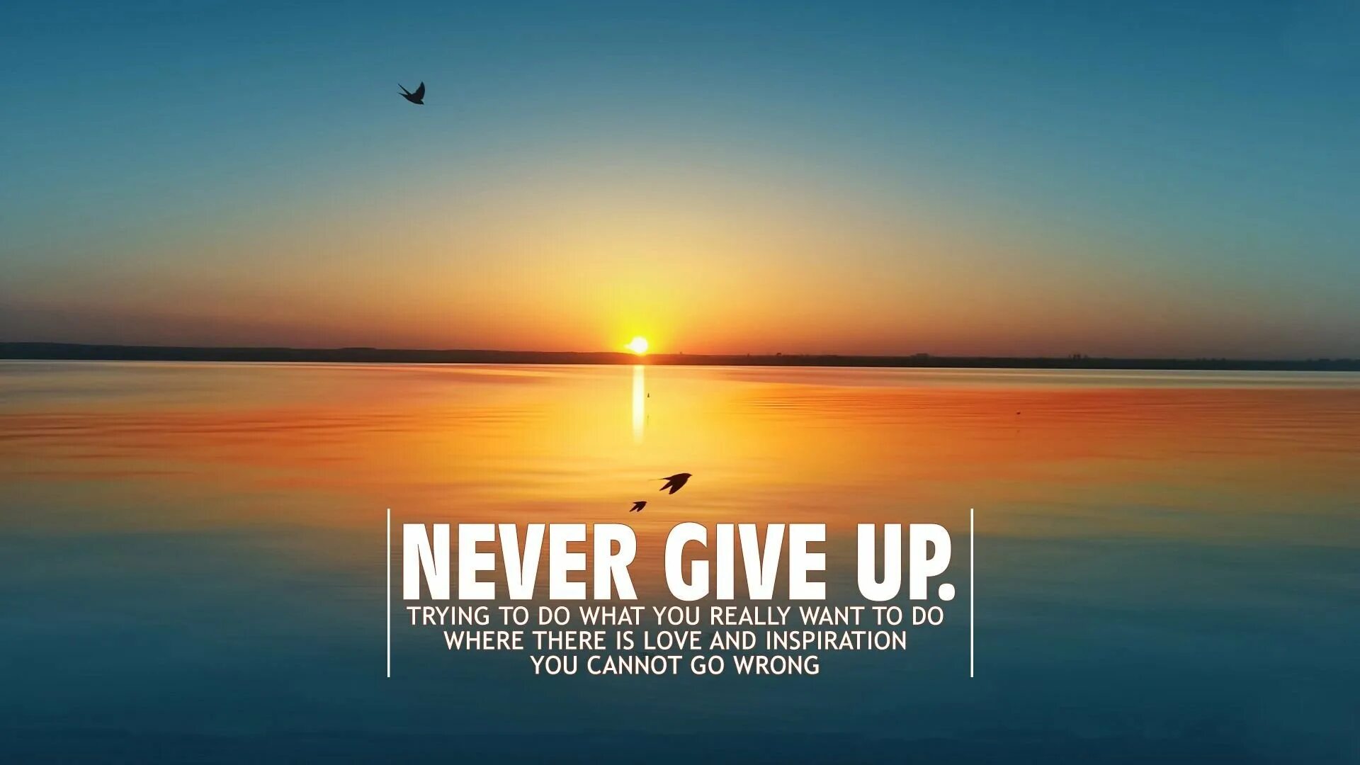 Never give up на рабочий стол. Never give up im waiting for you. Сия never give up. Мотивационные заставки на телефон. Обои на рабочий стол never give up.
