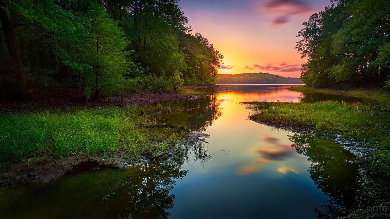 Природа река. Красивая река. Красивая река в лесу. Летний пейзаж. Не широкая красивая река