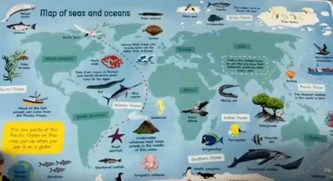 Ocean перевод