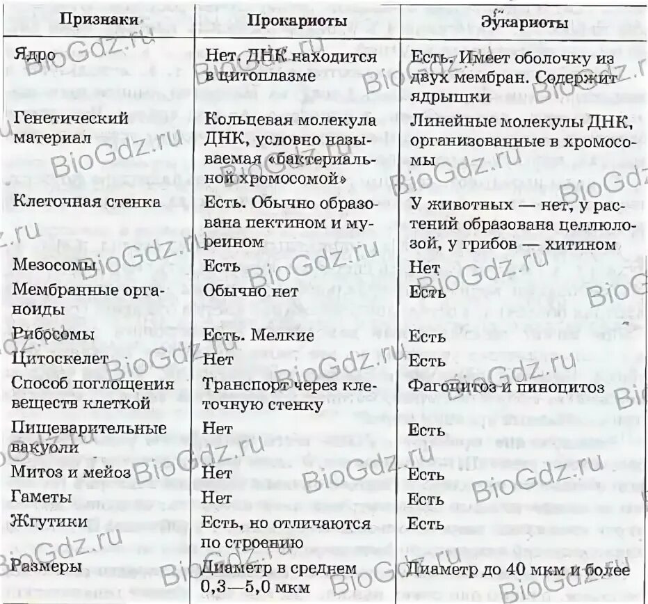 Заполните таблицу функции клеточных органоидов. Строение клетки эукариот таблица. строение и функции эукариотической клетки таблица 3. строение и функции эукариотической клетки таблица. таблица по биологии строения клеток эукариот.