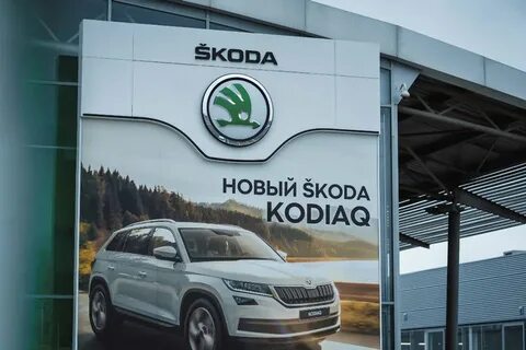 Шкода краснодар новый