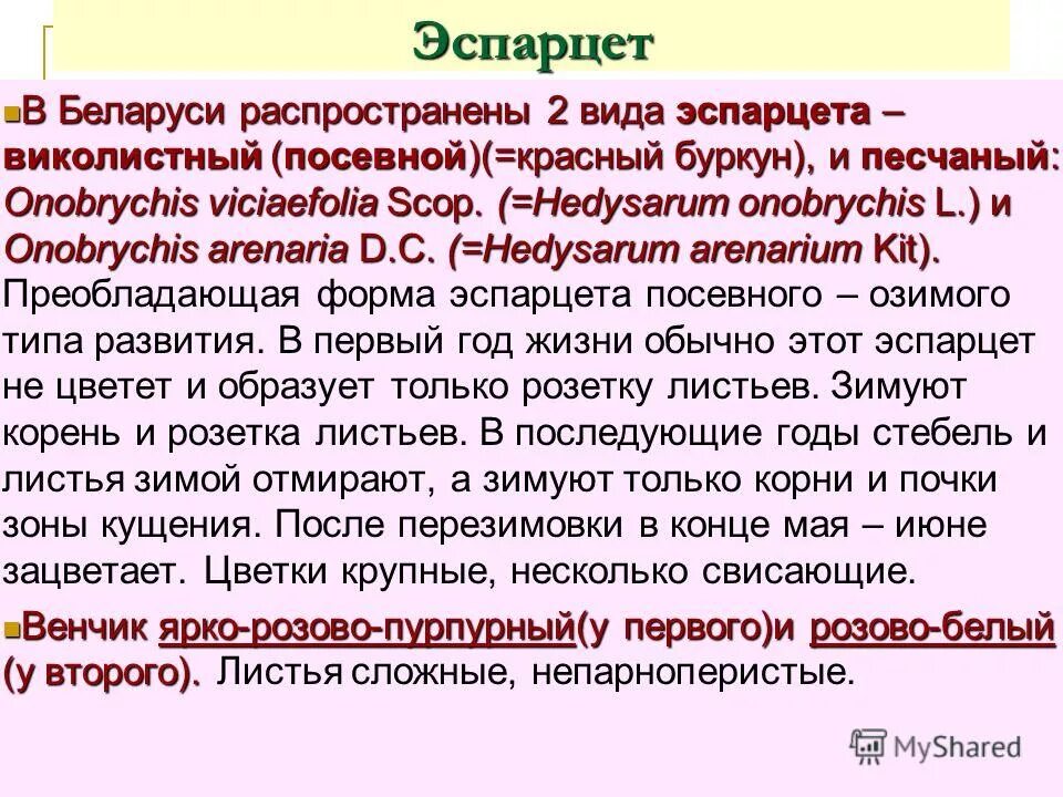 Принципы формирования кормовой базы. Лексическое значение слова охотник. Классификация кормов для животных. Овд инфо памятка. Лексическое значение слова охотник.