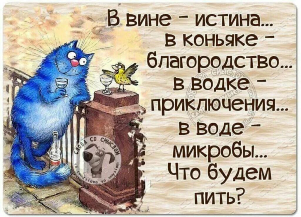 Картинка цитаты юмор. Смешные высказывания. веселые цитаты. смешные выражения. прикольные высказывания в картинках.