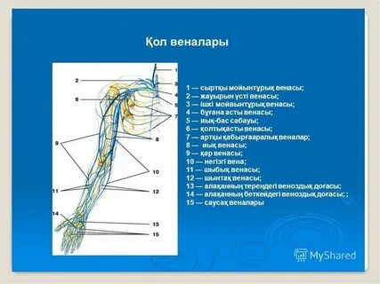 Лена Басконың порно суреттері