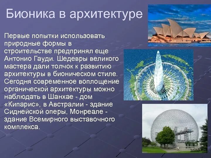 Природные формы информации. Бионика. Достижения бионики. Современные достижения бионики. Принципы бионики.