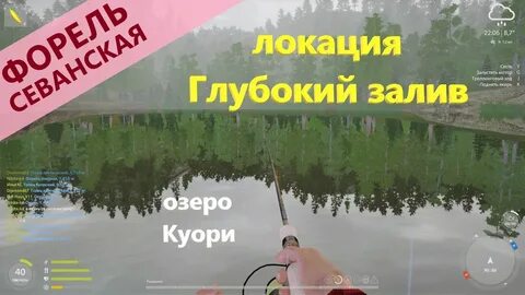 Рр4 форель на белой