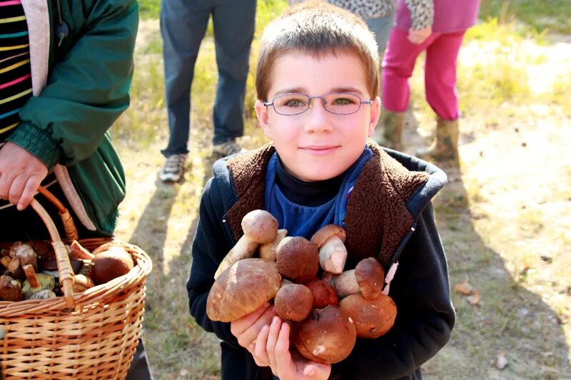 В рязани есть грибы. Фестиваль грибов. Грибной фестиваль Тихая охота. Фестиваль грибы с глазами. Фестиваль грибов в начальной школе.