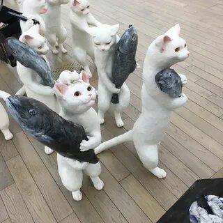 Мем коты рыбов