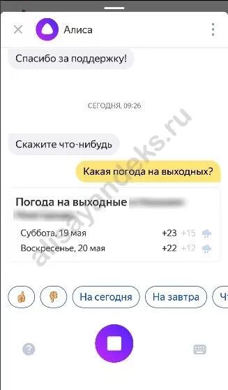 Привет алиса погода. Алиса какая сегодня погода. Алиса какая завтра погода. Алиса какая на сегодня пагода. Алиса Алиса какая сегодня погода.