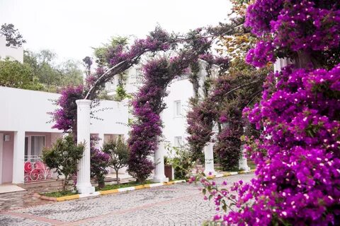 Kadikale resort