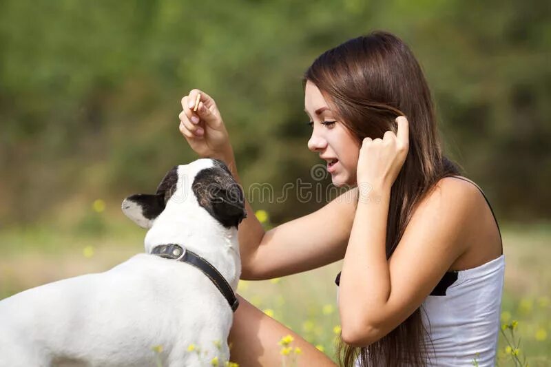 Девушка кормит собаку. Девушка кормит собаку фотосессия. Женщины вскармливают животных. Собака откармливает девушек.