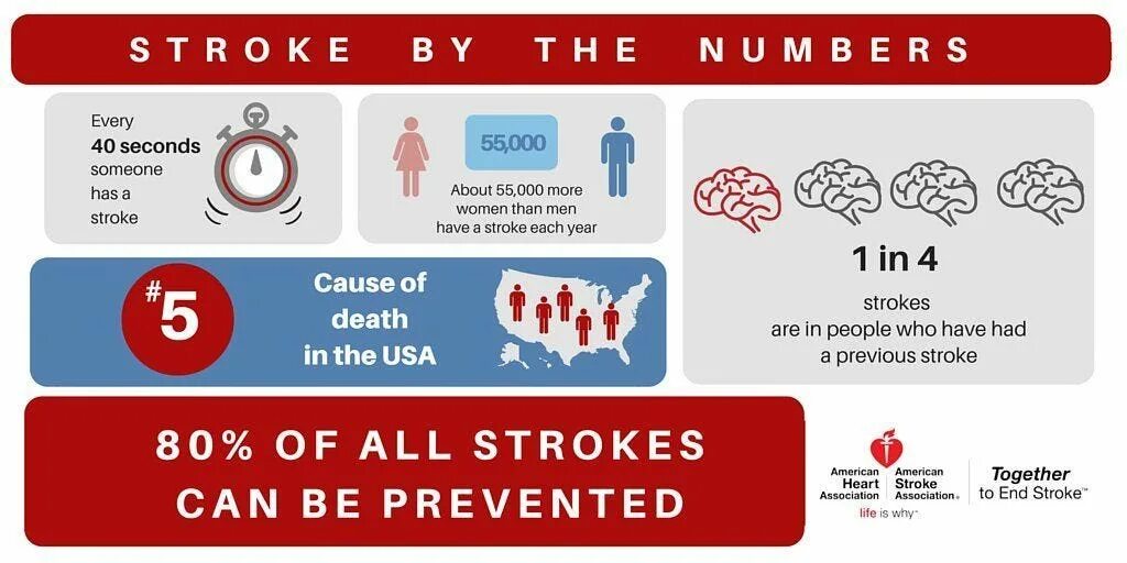 Stroke size. Who statistics stroke. cardiac diseases in world statistics. acute stroke statistics. stroke us.