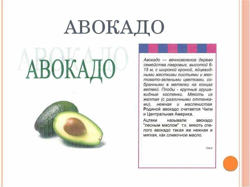 Авокадо текст описание. Загадки про авокадо для детей с ответами. Авокадо мем. Загадка про авокадо. Авокадо фразы прикольные.