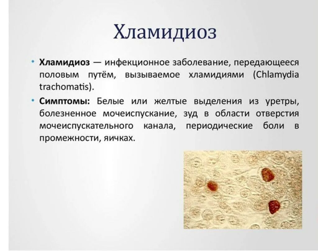 Что такое хламидиоз
