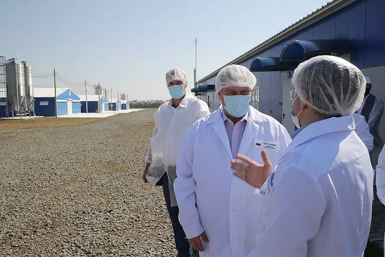 Евродон ростов на дону сайт. Евродон индейка шахты. птицефабрика евродон ростовская область. индюшиная ферма в ростовской области. индюки евродон.