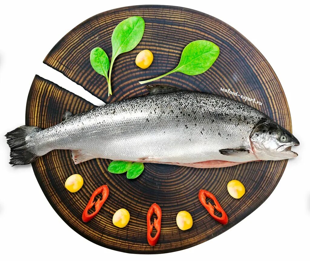 дорадо окунь. рыба. рыба и морепродукты. какая свежемороженая рыба. какая свежемороженая рыба.