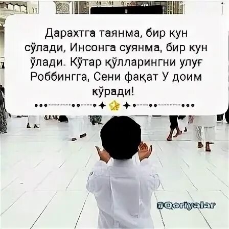 Статус бир