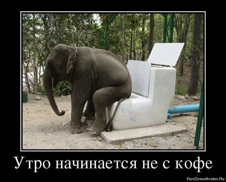 Утро начинается не скоф. Утро начинается с мысли. Этро начинается не с кофе. Утро начинается не с кофе фото. Утро начинается приколы.