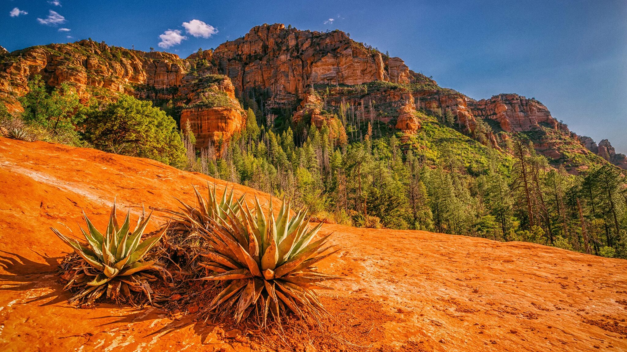 Штат калифорния на карте северной америки. Калифорния штат аризона. Штат северная калифорния. Карта калифорнии штатов сша. Штат северная калифорния.