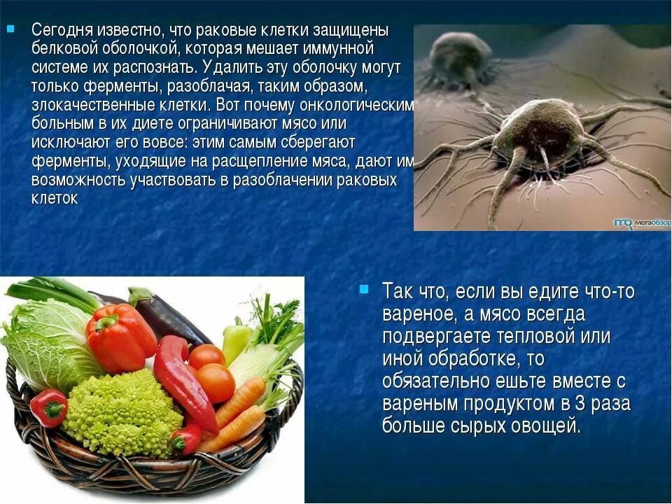 Чем питаются раковые клетки в организме. Чего боится раковая клетка. Раковые клетки в организме. Чего боится раковая клетка. Чего боится раковая клетка.