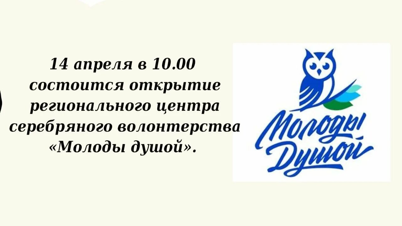 Региональный центр серебряного волонтерства молоды душой. Молоды душой логотип. Центр молоды душой Тамбов. Егионального центра «серебряного» волонтерства Наталье Макаровой,. Центр молоды душой