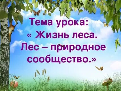 Природные сообщества 3 класс окружающий мир 21 век презентация