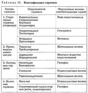 Гормоны в отличие от ферментов