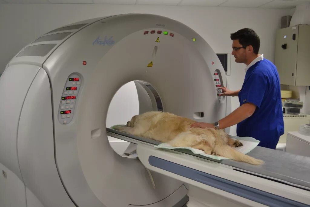 оборудование для ветеринарной клиники