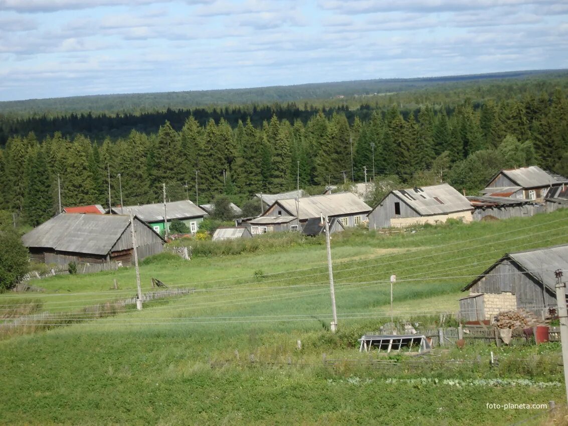 Пермский край Березовский район д.Плотниково. Д брод Березовский район Пермского края. Деревня Зернино Пермский край Березовский район. Деревня Плотниково Пермский край.