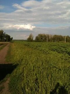 Липцы бои