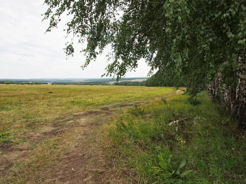 Валы самарская область. Село валы Самарской. Памятник археологии федерального значения Муромский городок. Деревня городок Самарская область. Село вал.