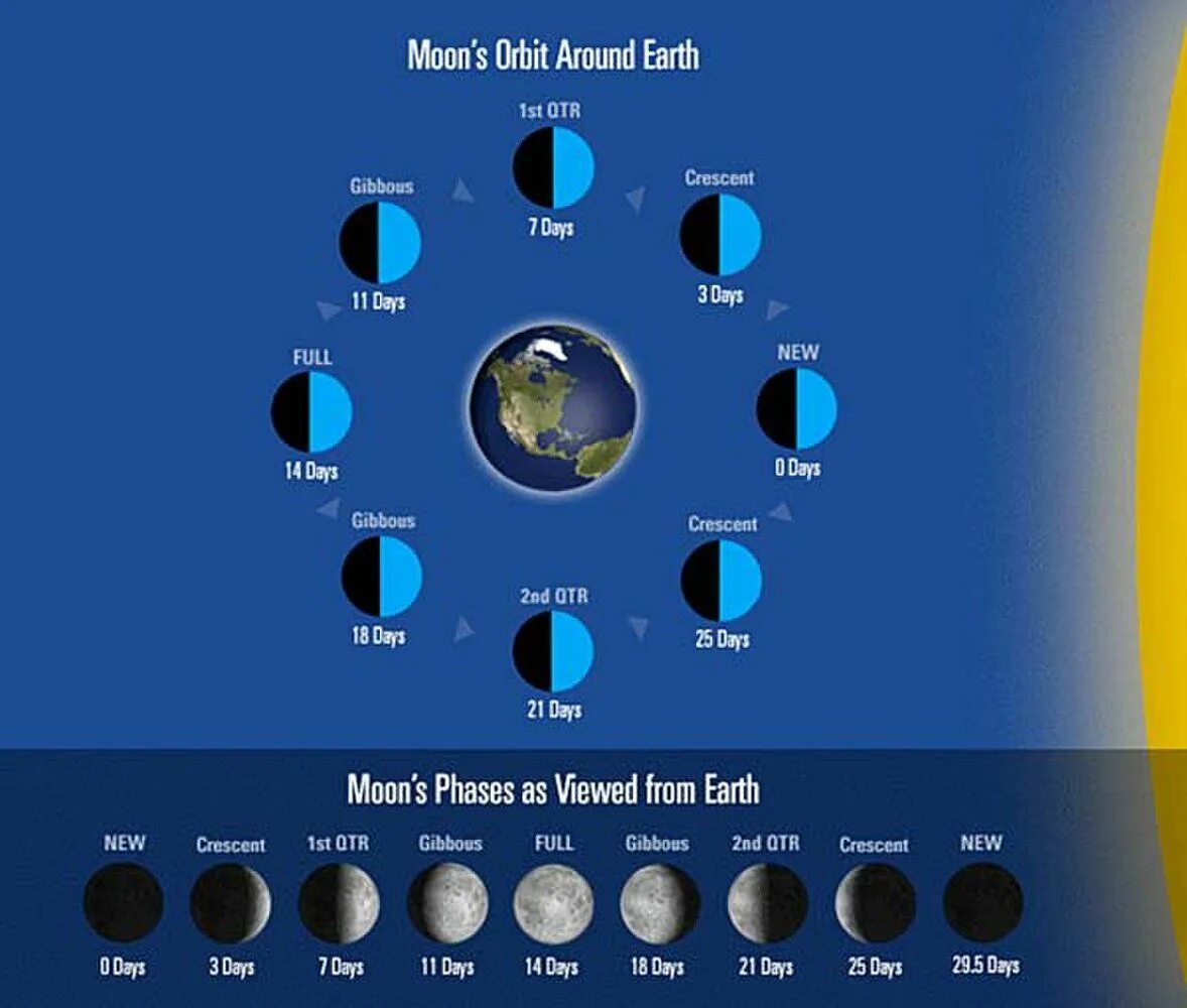 Moon phases. Current Moon phase. Moon current Moon phase. Moon перевод.