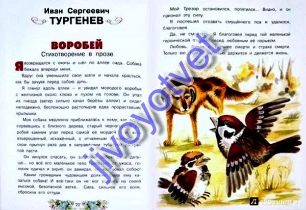 Произведение воробей 3 класс. Стихотворение тургенева воробей текст. рассказ воробей тургенев. рассказ про воробья.