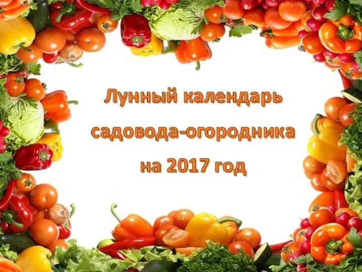 День садовода и огородника. День садовода и огородника открытки. Пожелания садоводам и огородникам. Поздравление с днем дачника и огородника. Календарь огородников 2017