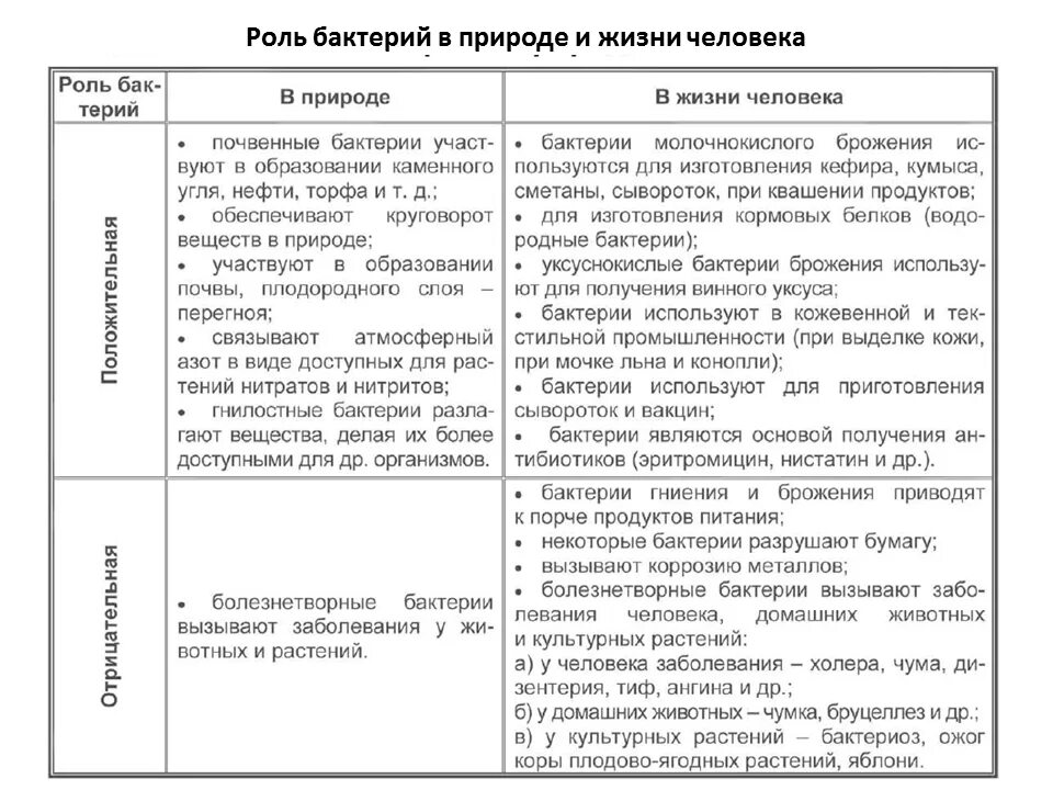 7 значение бактерий. Роль бактерий в природе и жизни человека таблица 5 класс биология. роль бактерий в природе и жизни человека и в природе таблица. бактерии в природе и жизни человека таблица. таблица бактерии и их значение.