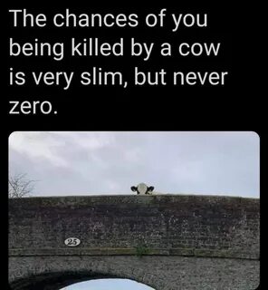 Low but