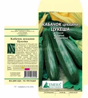 Сколько сортов кабачков