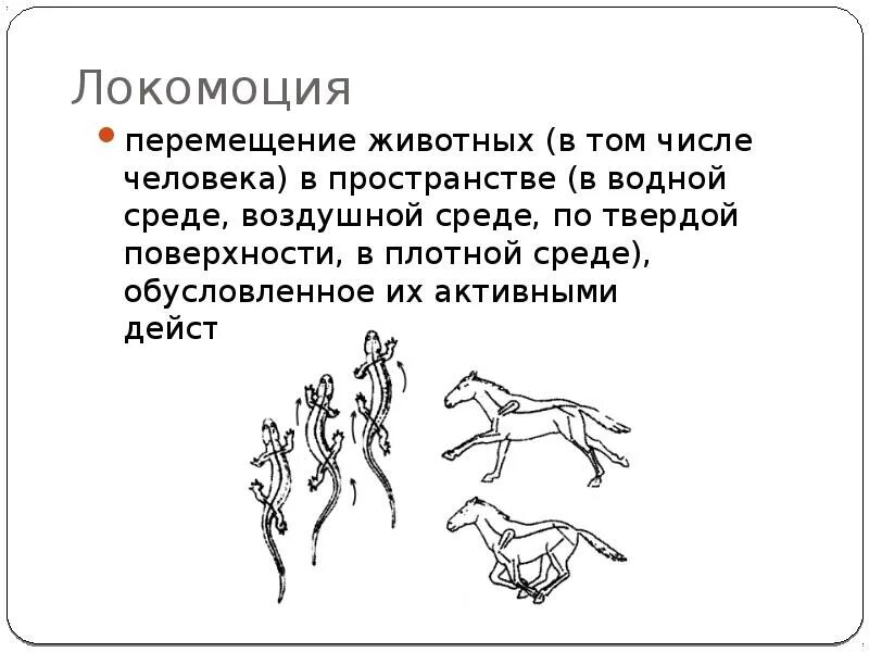 Перемещать животных