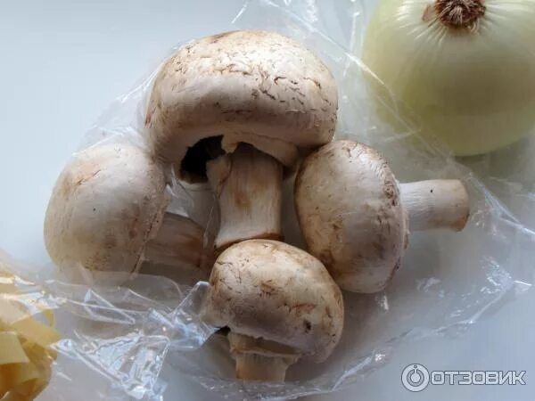 шампиньон кюнера. несвежие шампиньоны. сибирские шампиньоны. шампиньоны в холодильнике. испорченный шампиньон в разрезе.