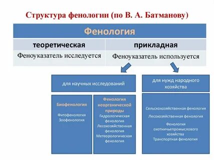 Термин фенология предложил