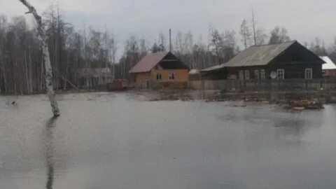 Погода в кюпцах