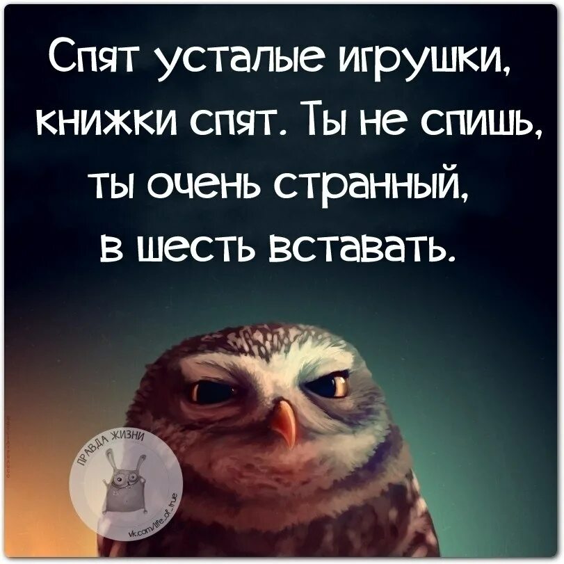 Цитаты после рабочего дня. Смешные высказывания про утро. цитаты про утро смешные. смешные фразы про утро. после выходных трудно только первые 5 дней.